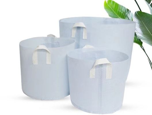 Fertigen Sie heißes besonders an, biologisch abbaubare Tasche des Gewebes nicht verkaufend Betriebs, diebreathable flet Baum große Kindertagesstättentasche der Tasche mit Griff wachsen